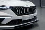 Skoda Vision RS 2018 года